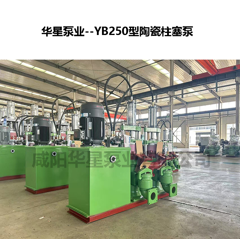 250型柱塞泵