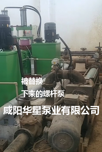 市政污水處理廠柱塞泵替換螺桿泵